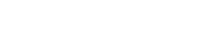 FIG logo light
